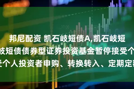 邦尼配资 凯石岐短债A,凯石岐短债C: 关于凯石岐短债债券型证券投资基金暂停接受个人投资者申购、转换转入、定期定额投资业务的公告